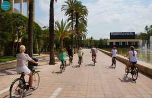 Discovering valencia guided tours & activities
