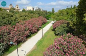 Валенсия – сады и мосты реки Турия